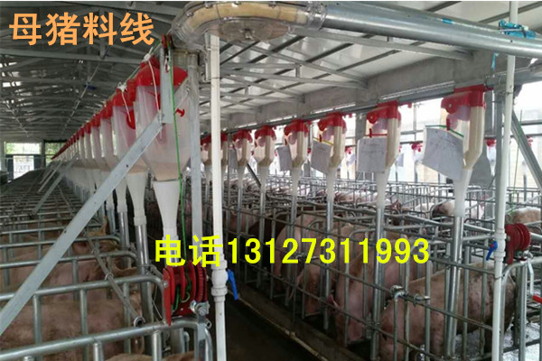 养猪定位栏自动化上料设备