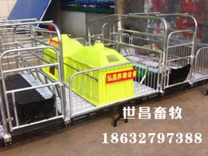 母猪产床