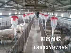 厂家直销批发自动化设备下料系统