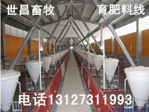 育肥猪料线