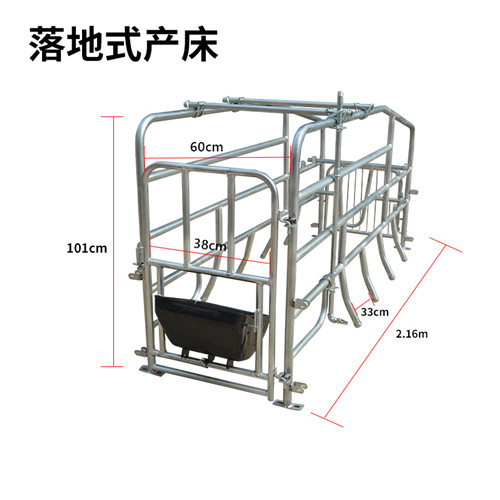 落地式母猪产床