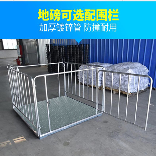 称猪地磅小型电子地磅
