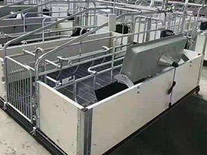 新型欧式母猪产床供应厂家