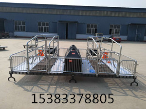 全新母猪产床栏生产厂家