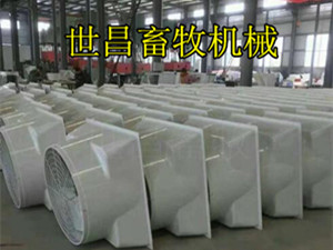 猪场夏季如何降温才有效