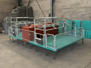 产保两用母猪产床栏批发厂家